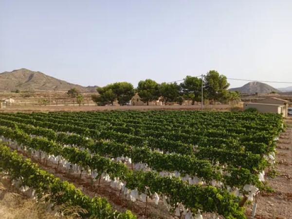 Terreno en Cv-840, km 3 photo 1