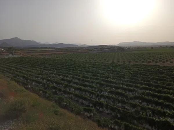 Terreno en Cv-840, km 3 photo 2