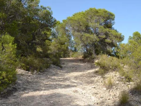 Terreno en bortolons s/n photo 1