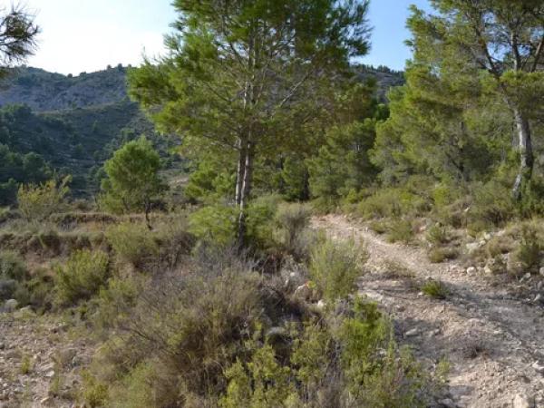 Terreno en bortolons s/n photo 4