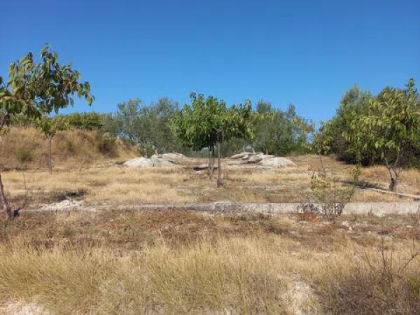 Terreno en Collaos, Lloma s/n Lavalldealcala photo 1