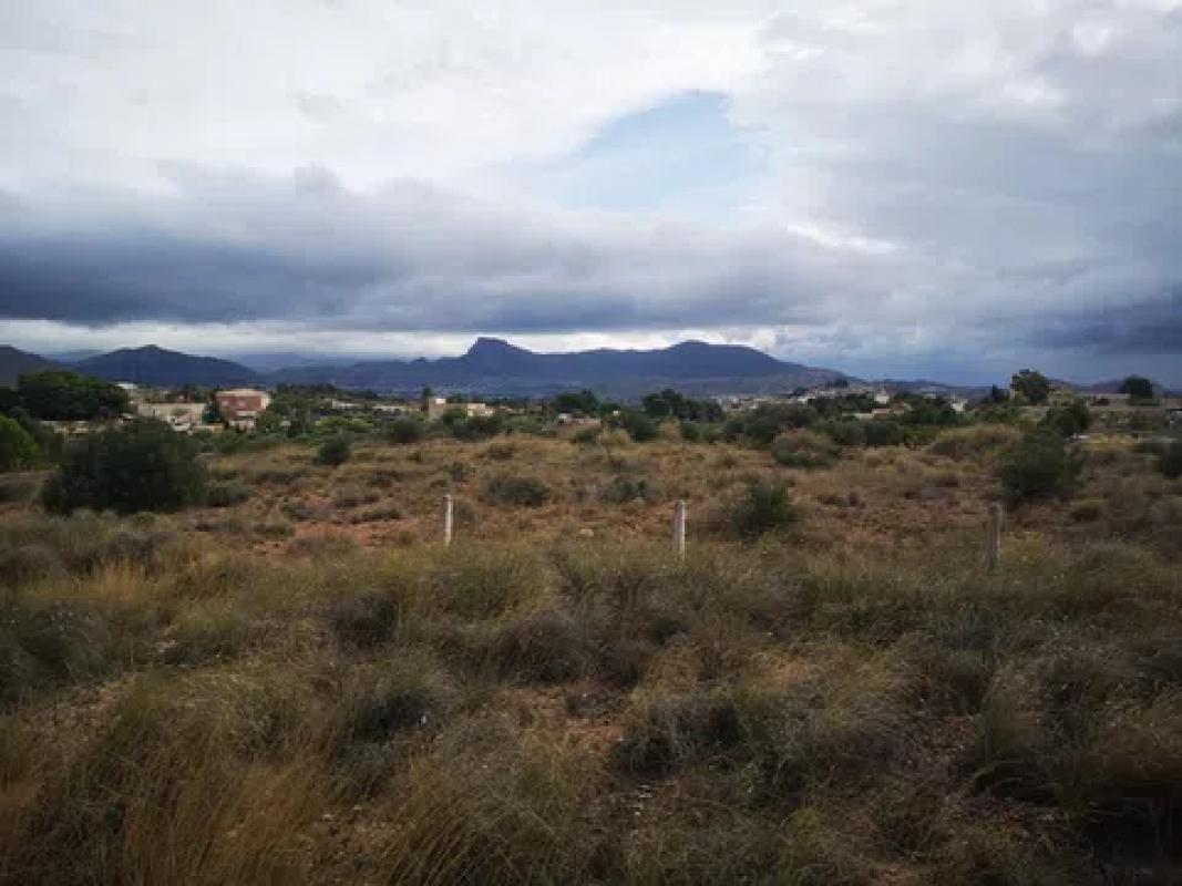 Terreno en venta en Monovar, Alicante photo 1