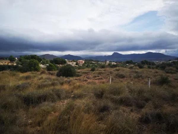 Terreno en ronda del Parc, 236 Parc. 236- photo 2