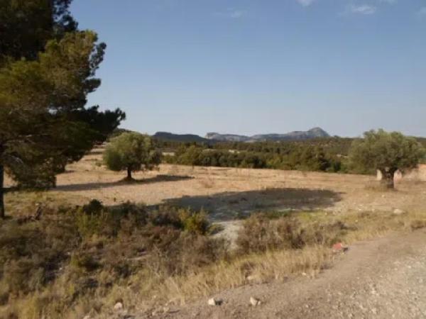Terreno en via sense nom photo 3