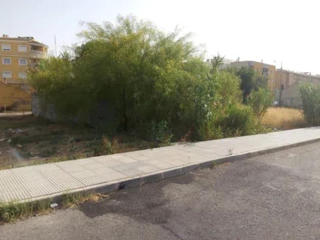 Działka na sprzedaż w Almoradí, Alicante photo 4