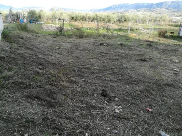 Terreno en calle Palacio thumbnail 2