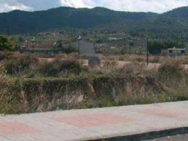 Terreno en avenida Antonio Vilaplana Martinez photo 2