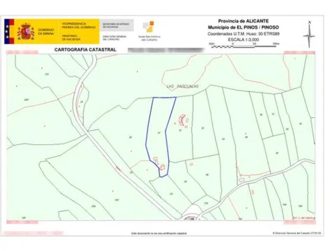 Terreno en venta en Pinoso, Alicante plan 1