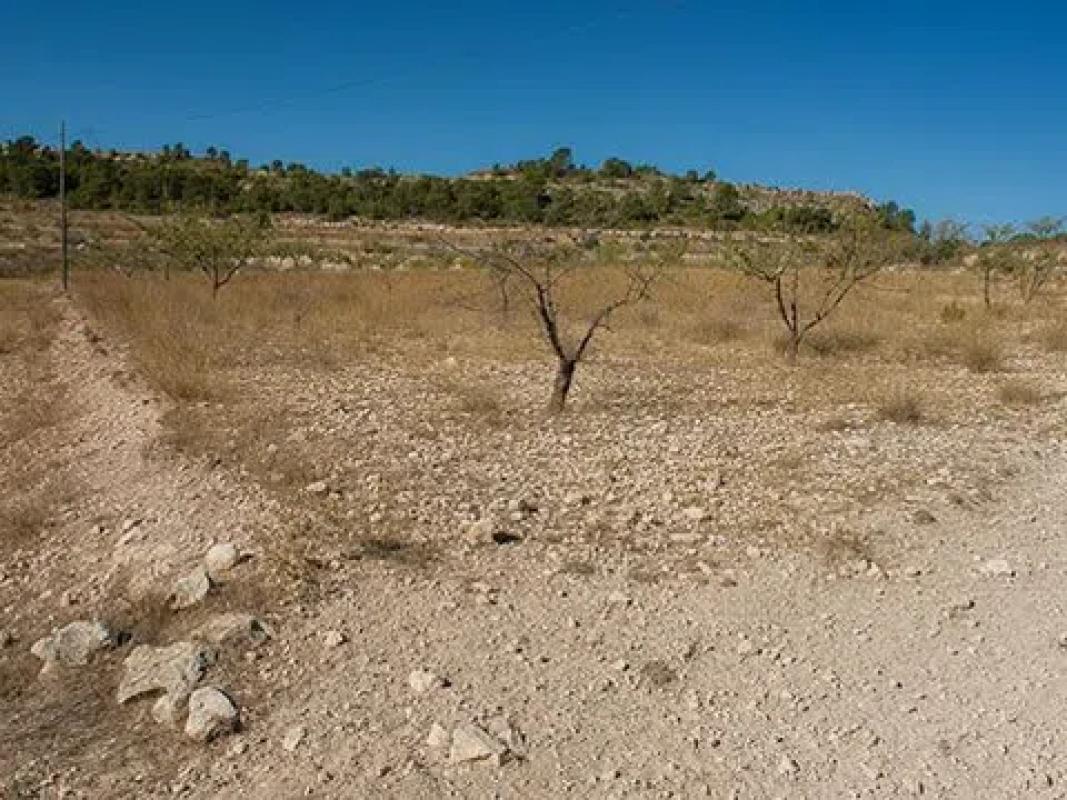 Terreno en venta en Pinoso, Alicante photo 2