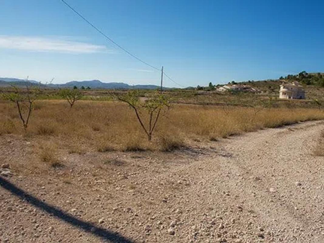 Terreno en venta en Pinoso, Alicante photo 3