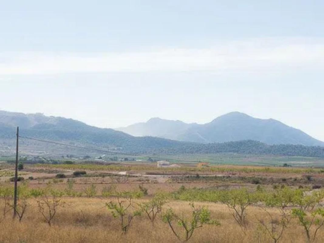 Terreno en venta en Pinoso, Alicante photo 4