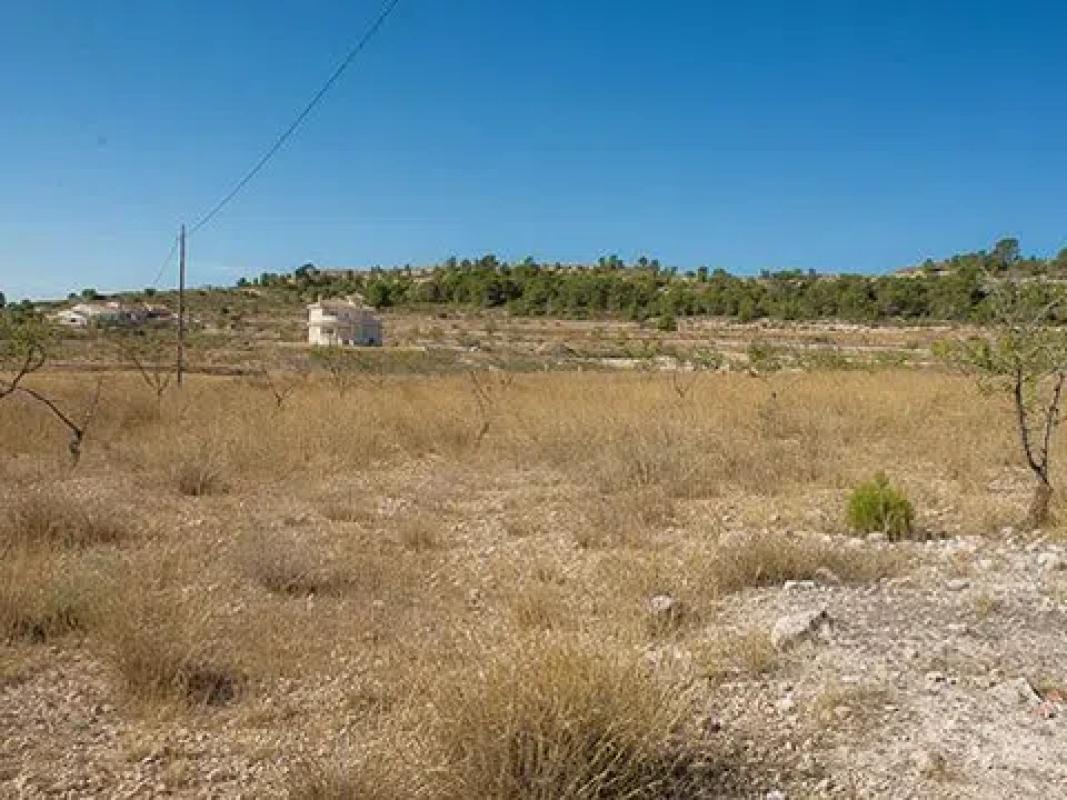 Terreno en venta en Pinoso, Alicante photo 5