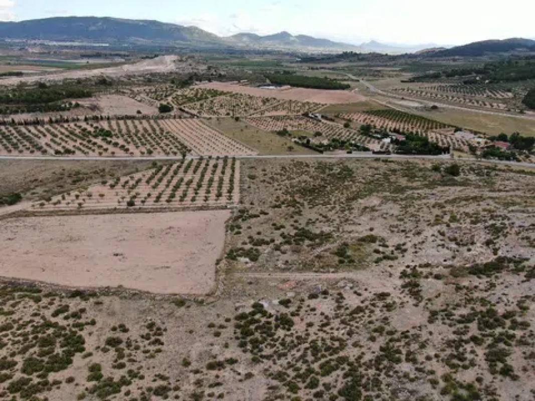 Terreno en venta en Cañada, Alicante photo 5