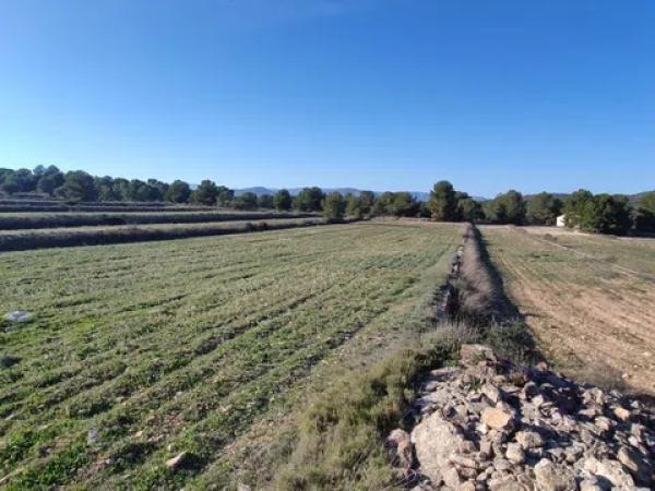 Terreno en Cv-834, 20 photo 2