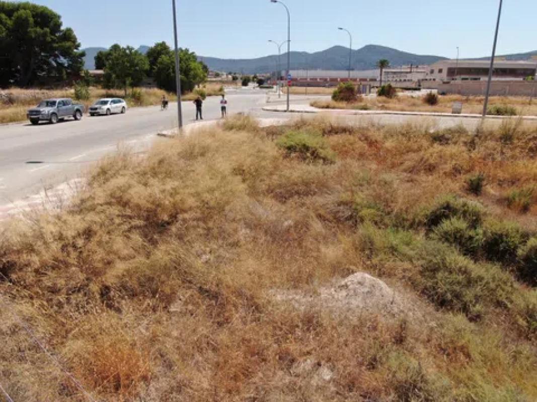 Działka na sprzedaż w Castalla, Alicante photo 5