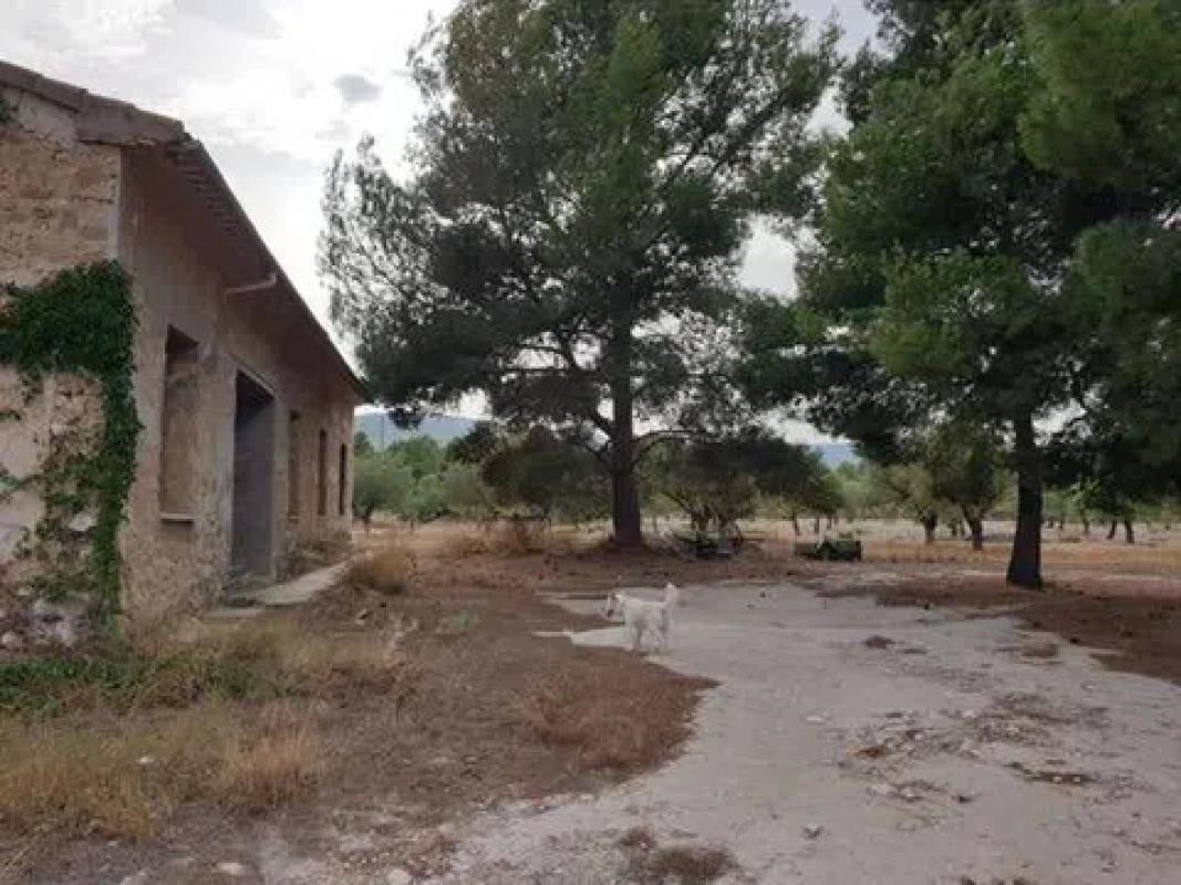 Land for sale in Castalla, Alicante photo 1