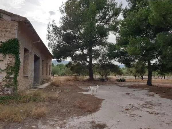 Terreno en Lugar Iii Pd 3 photo 1