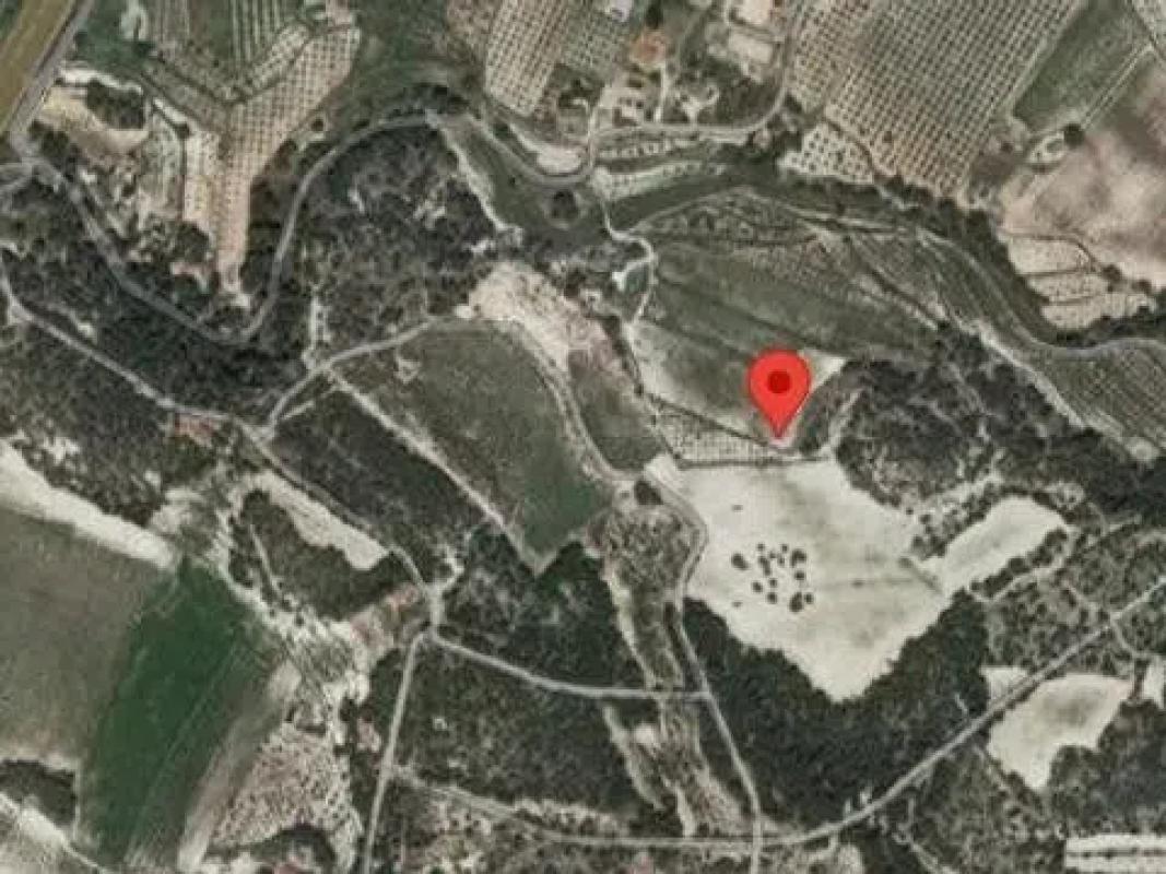 Land for sale in Castalla, Alicante photo 3