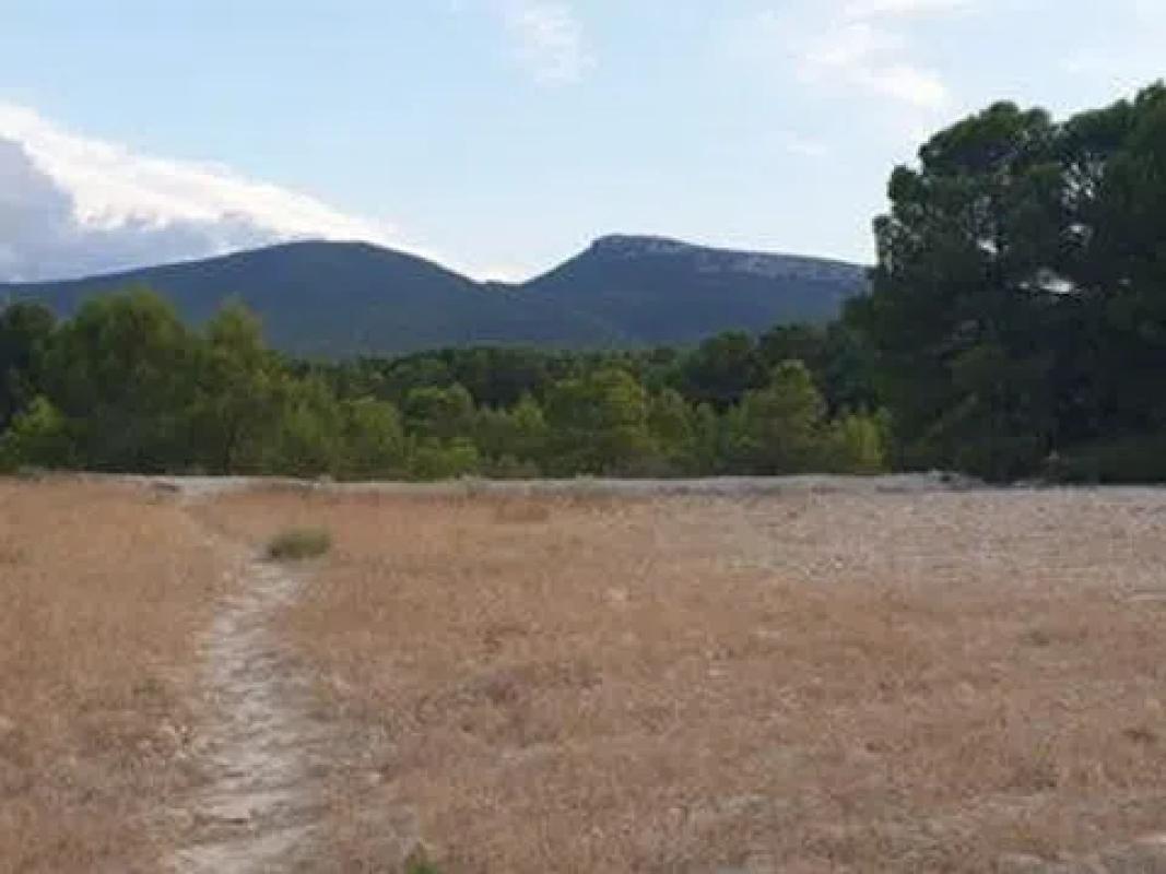 Land for sale in Castalla, Alicante photo 4