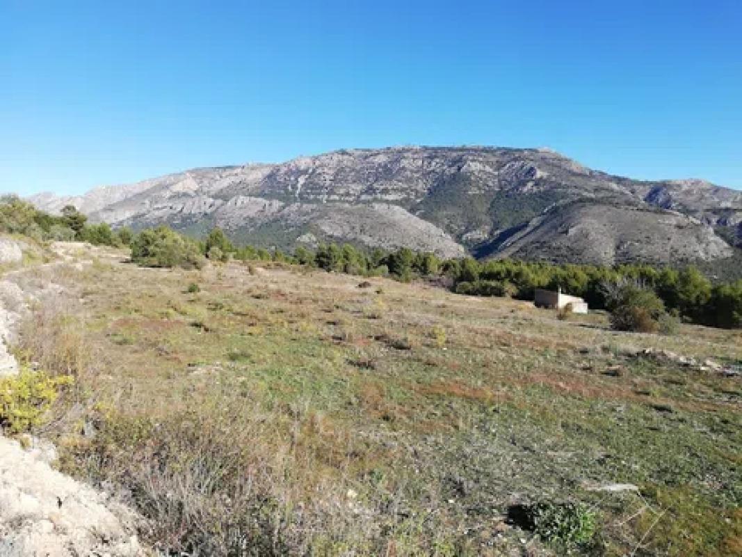 Land for sale in Guadalest, Alicante photo 2