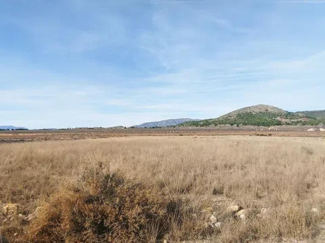 Land for sale in Monovar, Alicante photo 1
