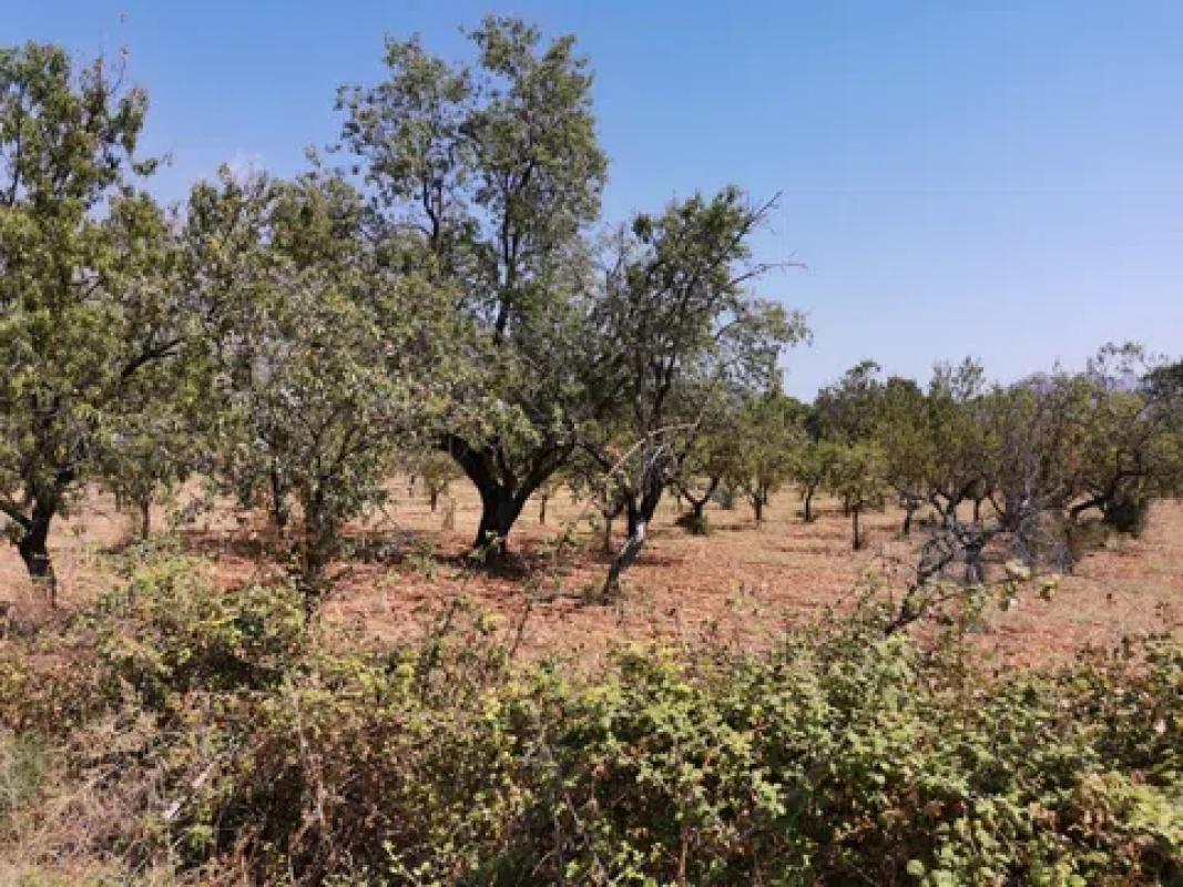 Terreno en venta en Vall de Laguart, Alicante photo 2