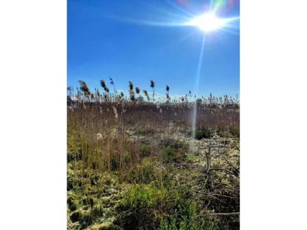 Terreno en San Fulgencio photo 2