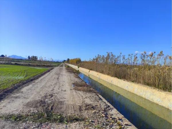 Terreno en San Fulgencio photo 3