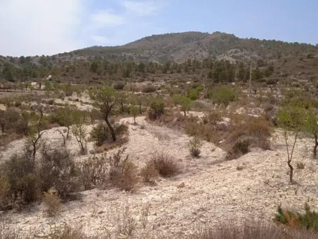 Terreno en venta en Relleu, Alicante photo 3