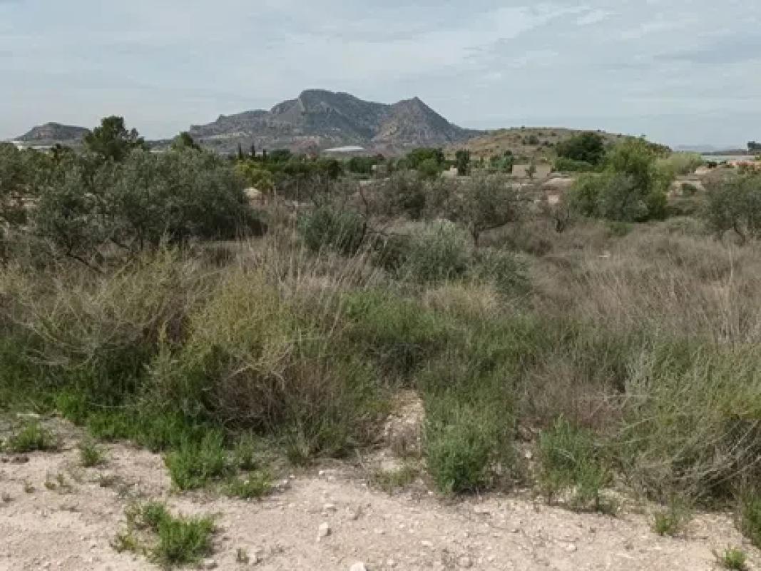 Terreno en venta en Agost, Alicante photo 2
