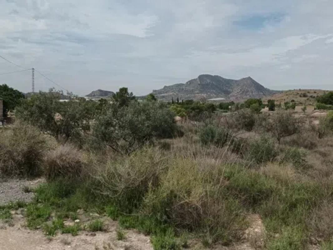 Terreno en venta en Agost, Alicante photo 3