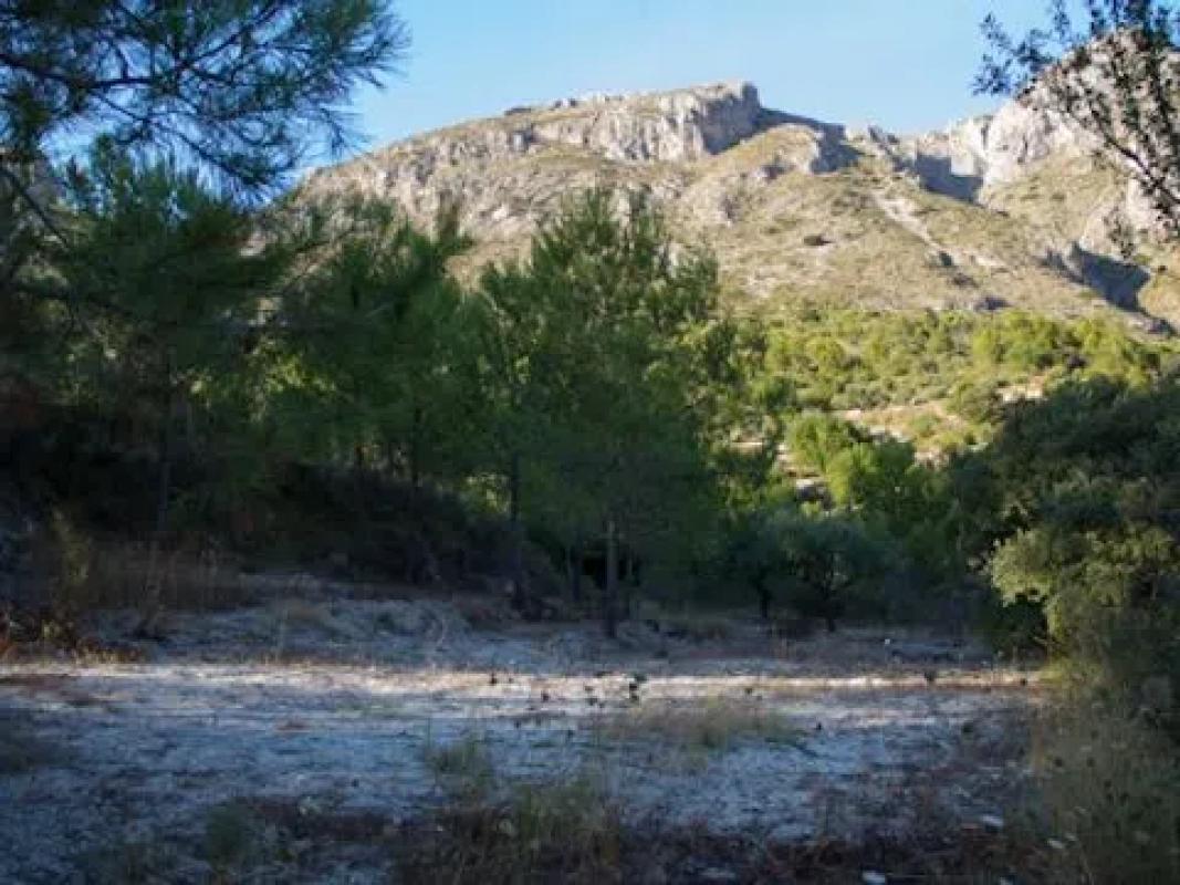 Działka na sprzedaż w Beniarda, Alicante photo 3