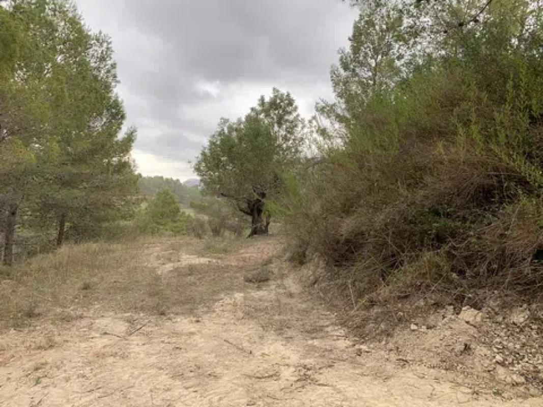 Działka na sprzedaż w Beniarda, Alicante photo 5
