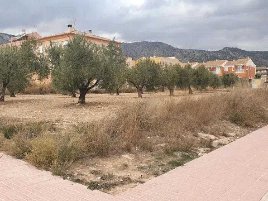 Działka na sprzedaż w Salinas, Alicante photo 2