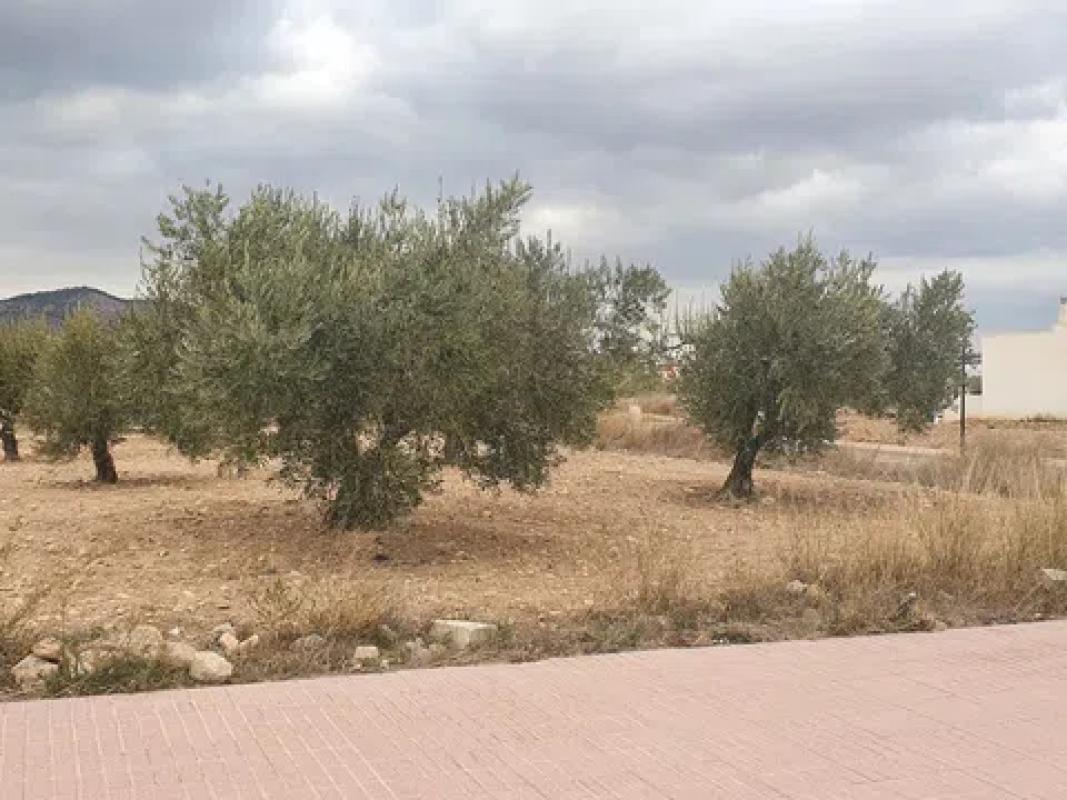 Działka na sprzedaż w Salinas, Alicante photo 3