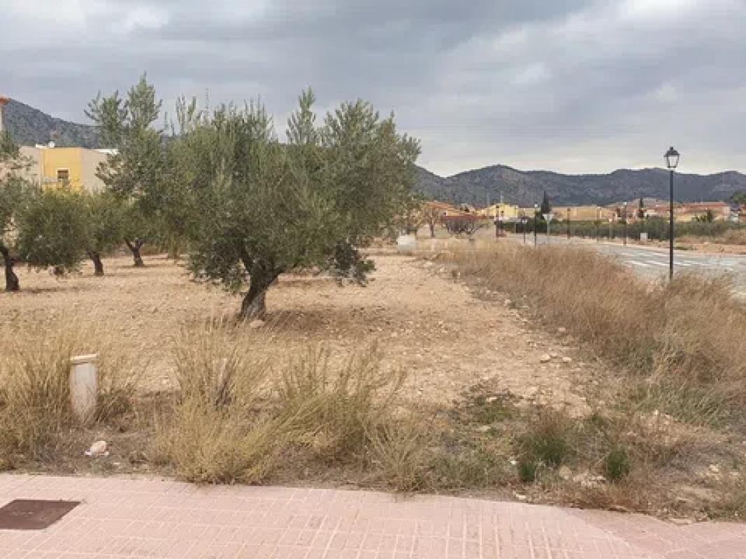 Działka na sprzedaż w Salinas, Alicante photo 4
