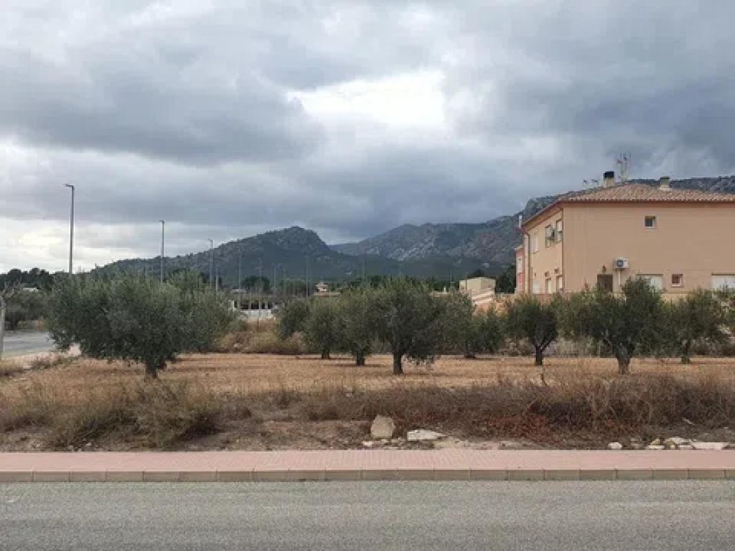 Działka na sprzedaż w Salinas, Alicante photo 5