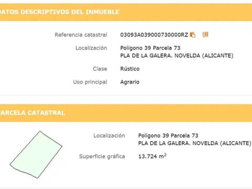 Land for sale in Novelda, Alicante photo 4