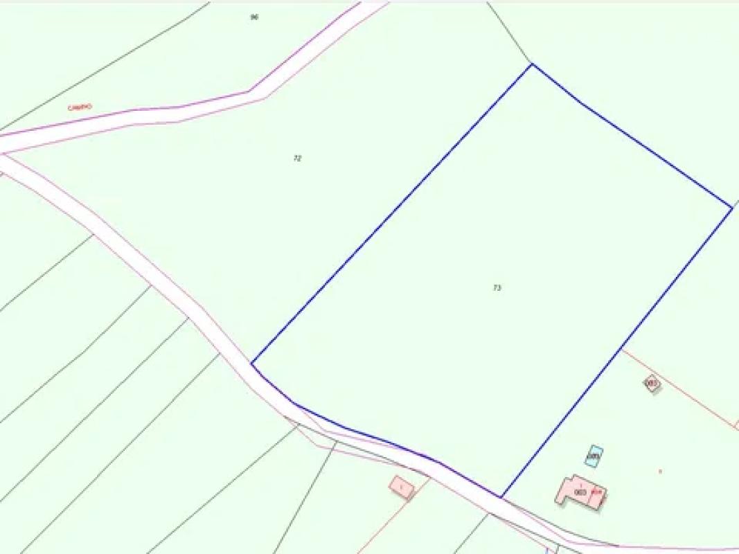 Land for sale in Novelda, Alicante photo 5