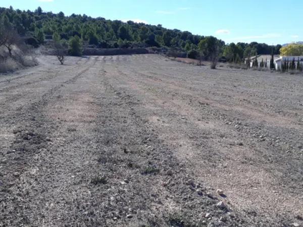 Terreno en carretera Naturaleza De Pinoso s/n Sn thumbnail 1