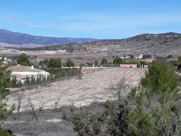 Terreno en carretera Naturaleza De Pinoso s/n Sn thumbnail 2