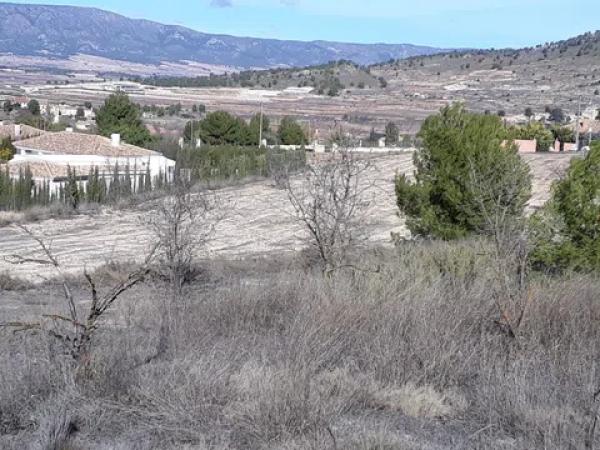 Terreno en carretera Naturaleza De Pinoso s/n Sn photo 4
