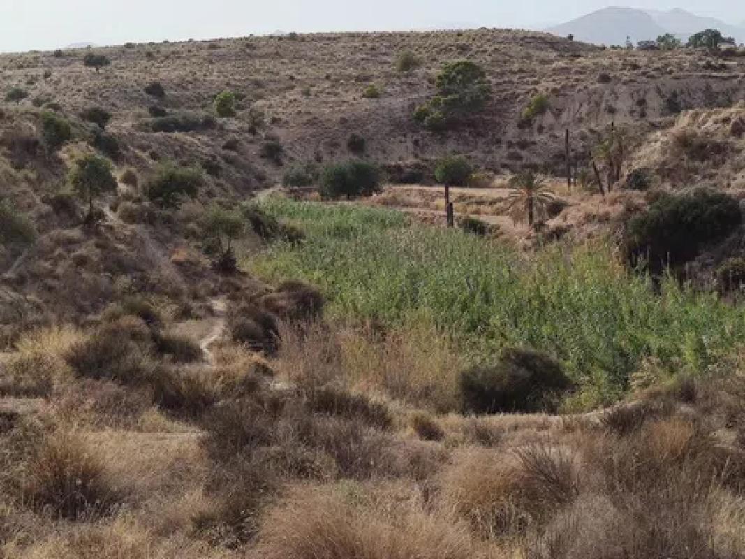 Terreno en venta en Busot, Alicante photo 4