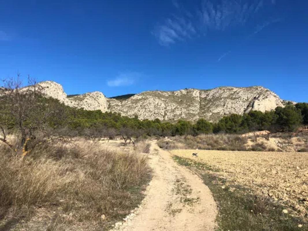 Działka na sprzedaż w Onil, Alicante photo 3