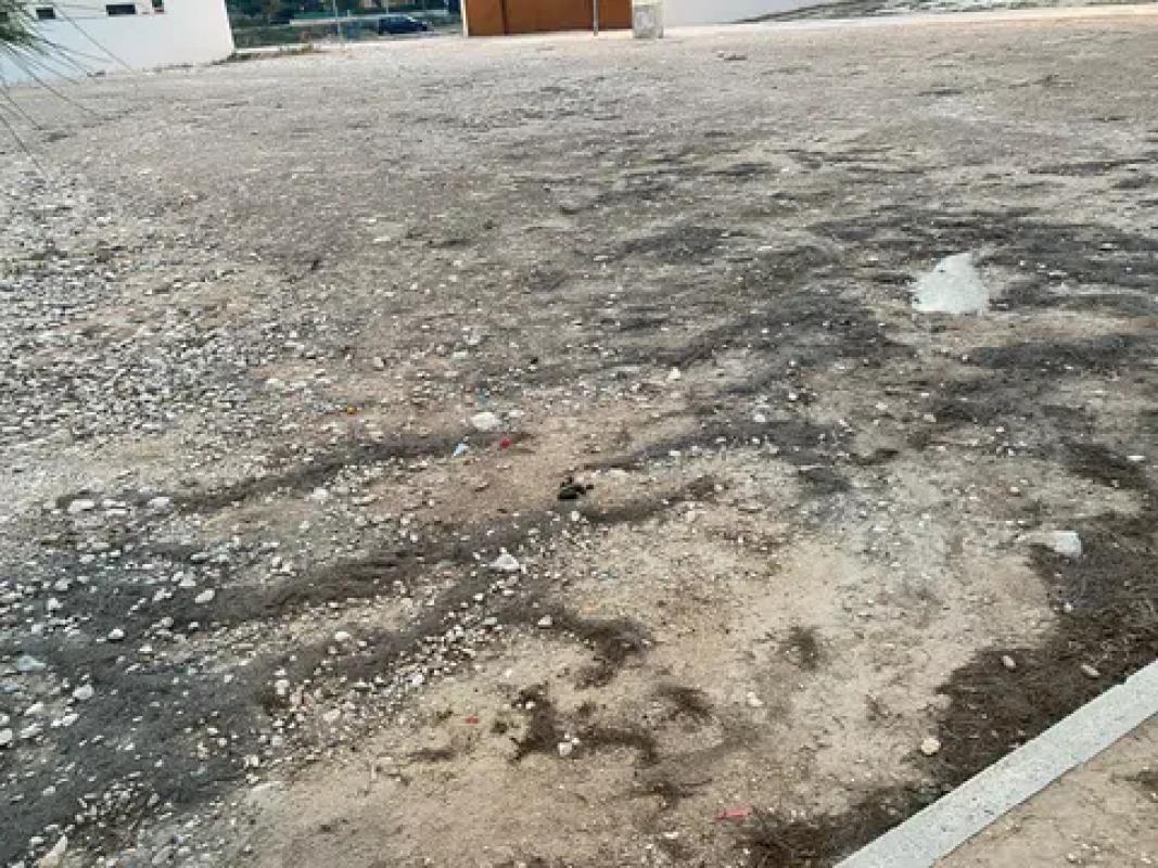 Terreno en venta en Novelda, Alicante photo 4
