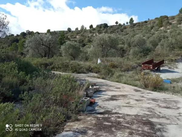 Terreno en carretera Balones, km 10 photo 1