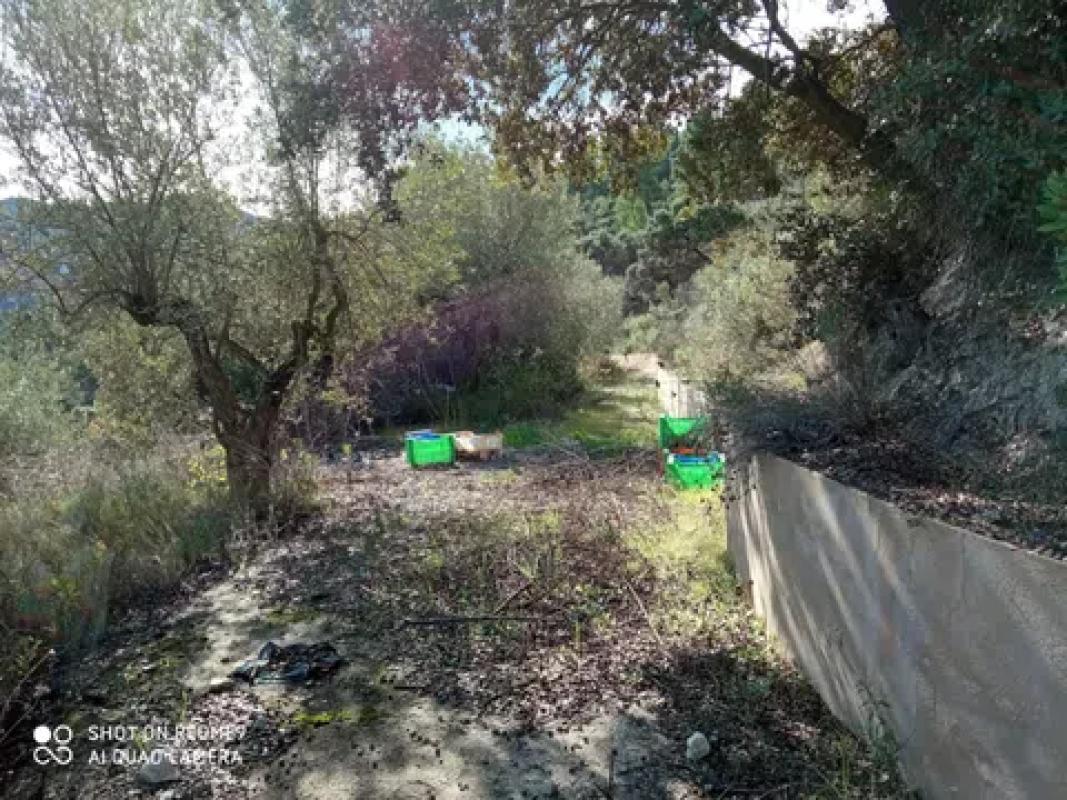 Terreno en venta en Balones, Alicante photo 4