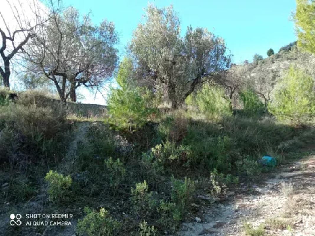 Terreno en venta en Balones, Alicante photo 5