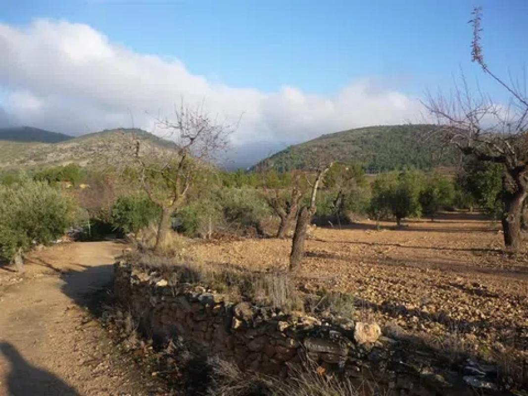 Terreno en venta en Onil, Alicante photo 2