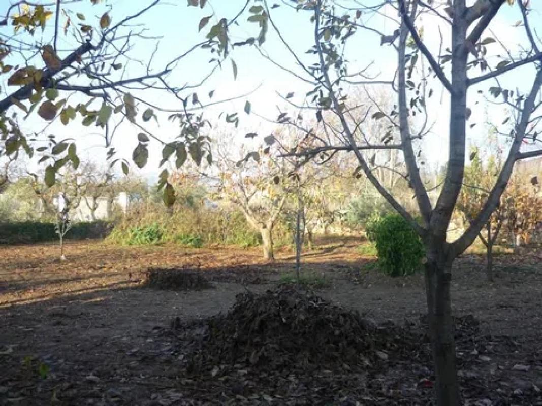 Terreno en venta en Onil, Alicante photo 3